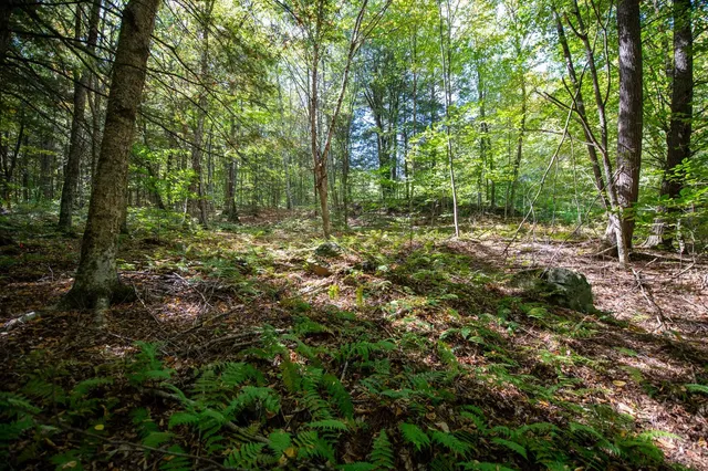 $74,000 | 0 Remington Road, Chester, VT 05143