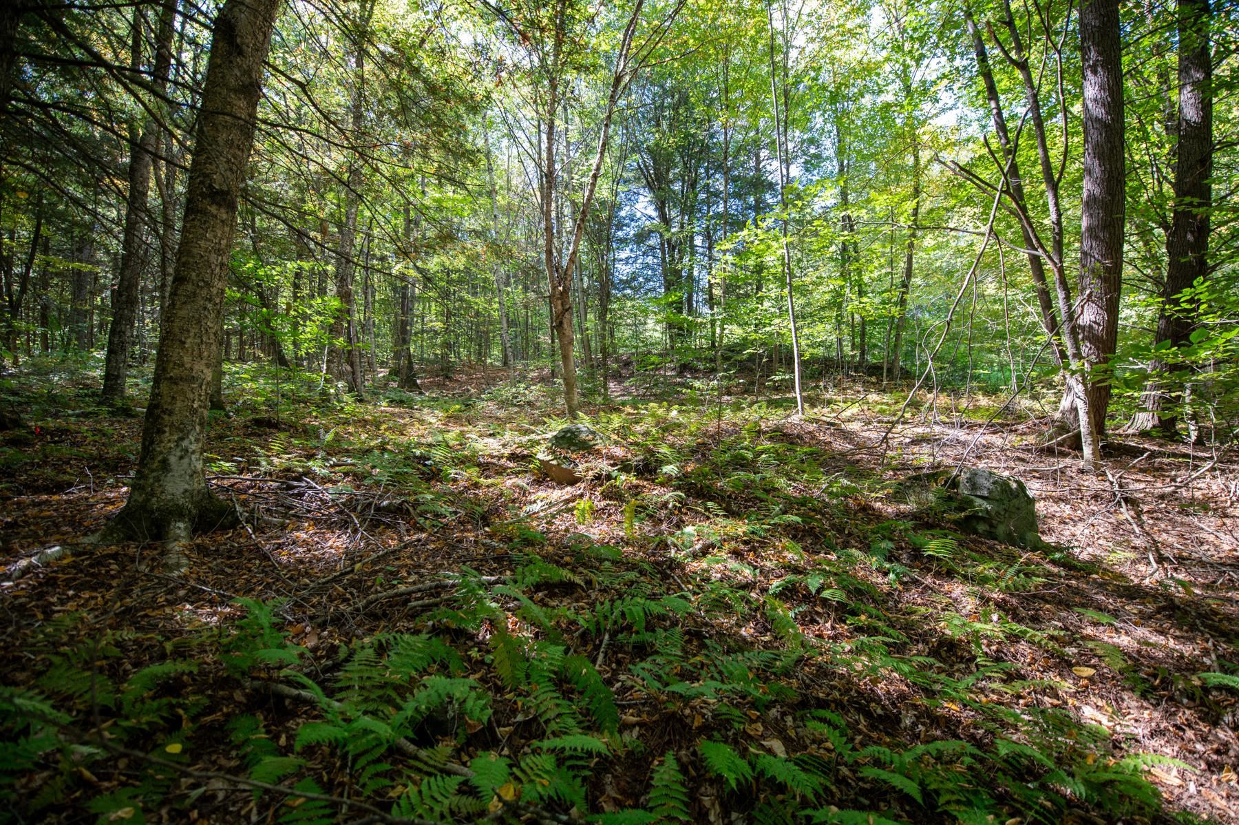 0 Remington Road Chester, VT 05143 - Photo 11 of 14