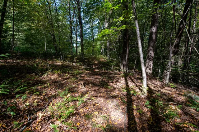 $74,000 | 0 Remington Road, Chester, VT 05143