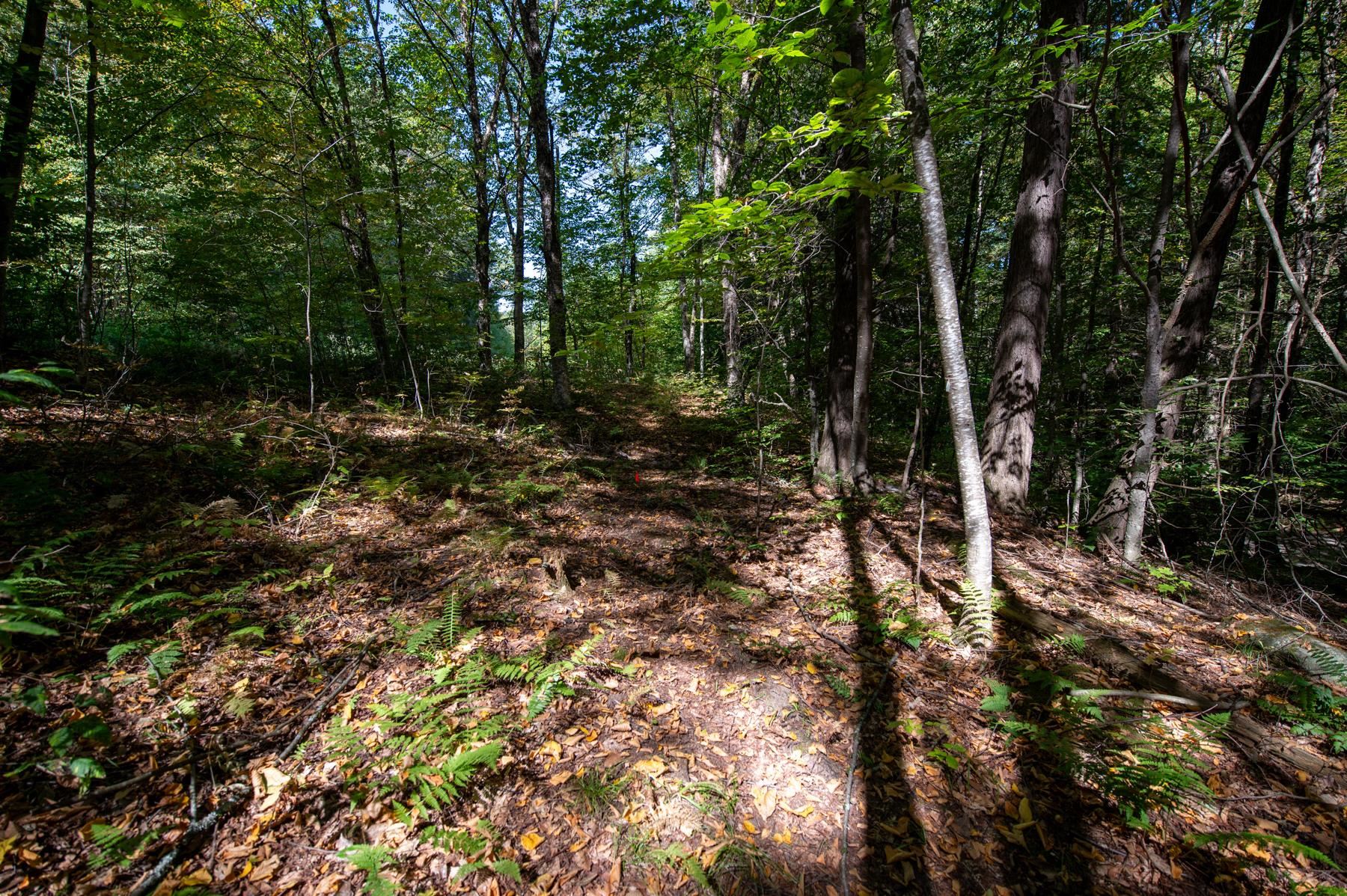 0 Remington Road Chester, VT 05143 - Photo 12 of 14