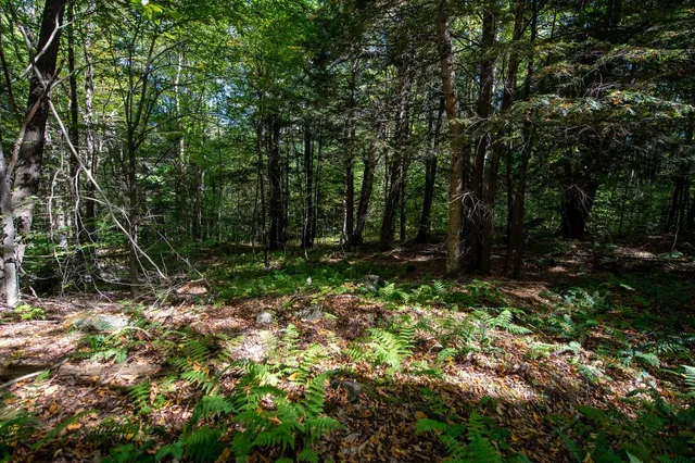 $74,000 | 0 Remington Road, Chester, VT 05143