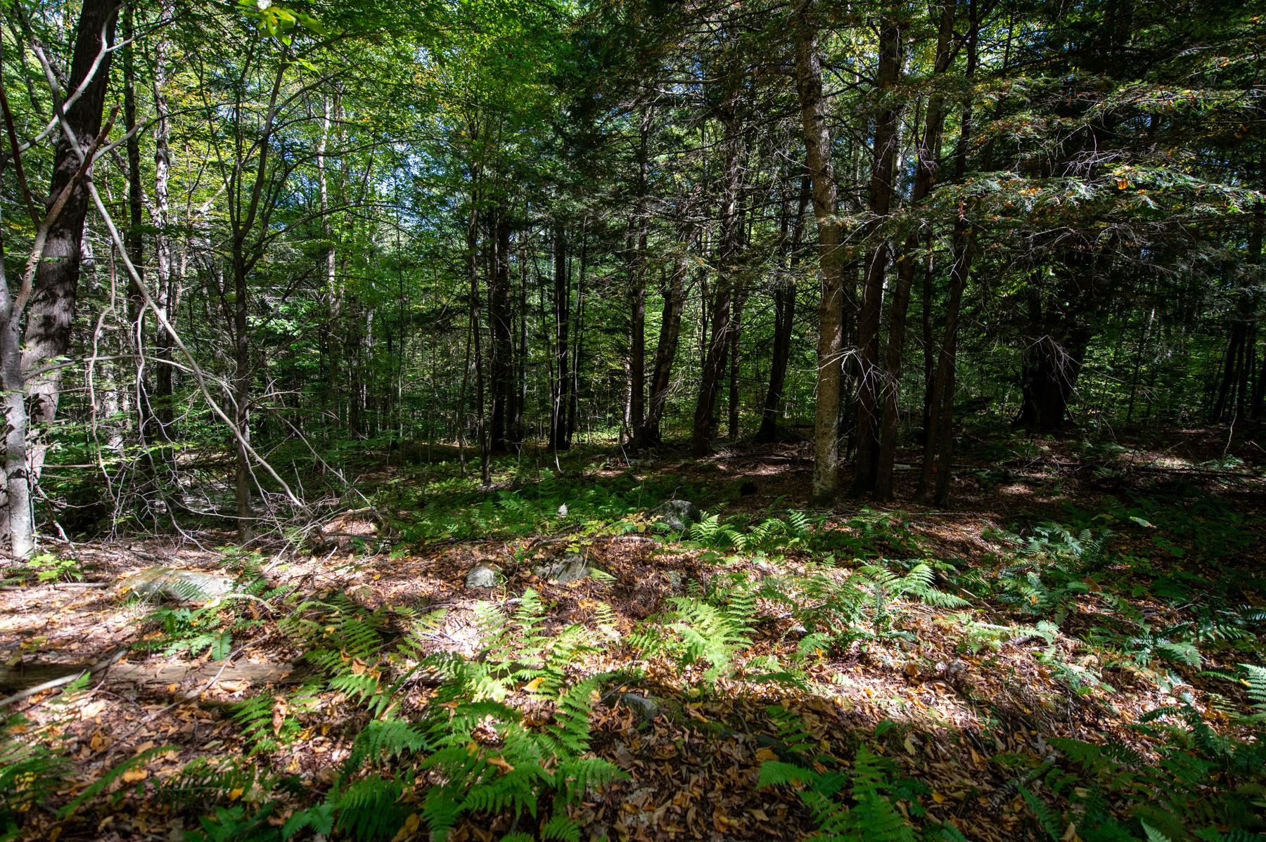 0 Remington Road Chester, VT 05143 - Photo 13 of 14