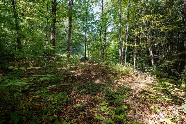 $74,000 | 0 Remington Road, Chester, VT 05143