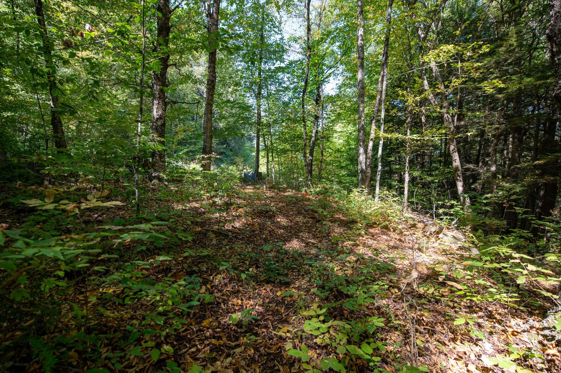 0 Remington Road Chester, VT 05143 - Photo 14 of 14