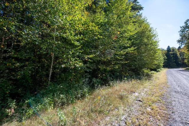 $74,000 | 0 Remington Road, Chester, VT 05143