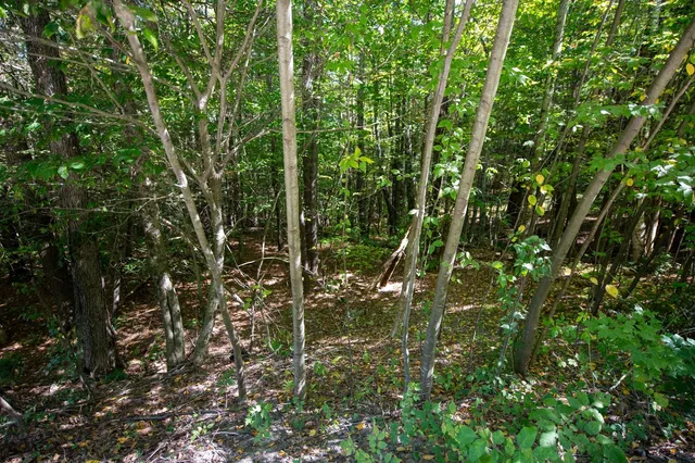 $74,000 | 0 Remington Road, Chester, VT 05143