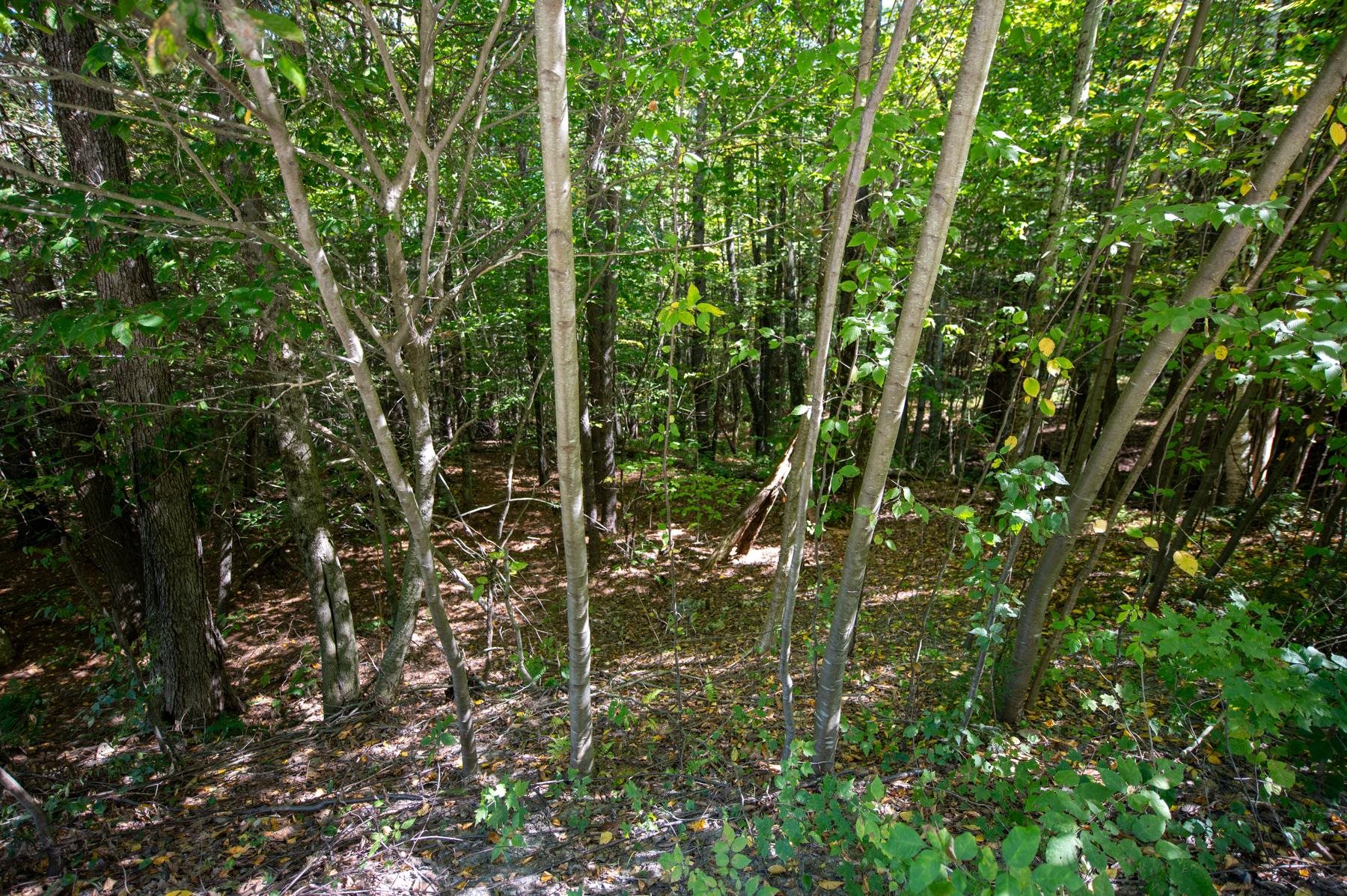 0 Remington Road Chester, VT 05143 - Photo 4 of 14