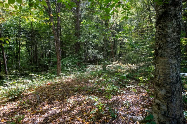 $74,000 | 0 Remington Road, Chester, VT 05143