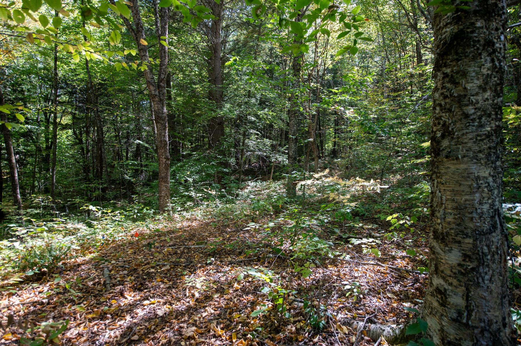 0 Remington Road Chester, VT 05143 - Photo 6 of 14