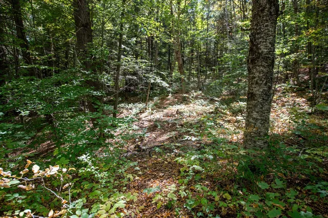 $74,000 | 0 Remington Road, Chester, VT 05143