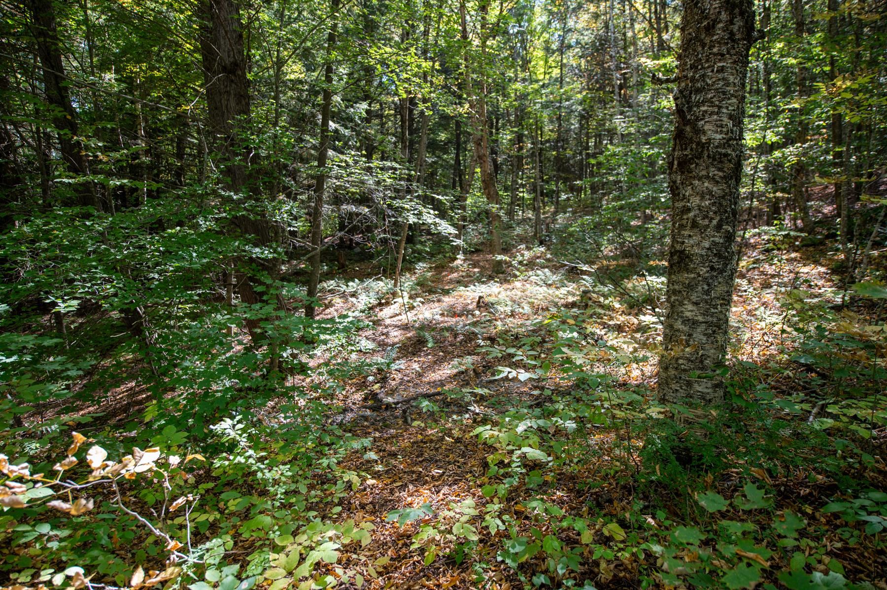 0 Remington Road Chester, VT 05143 - Photo 7 of 14