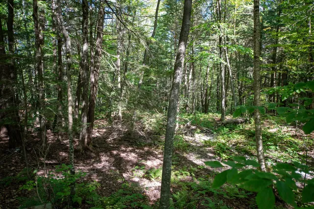 $74,000 | 0 Remington Road, Chester, VT 05143