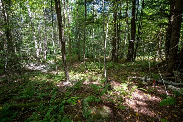 $74,000 | 0 Remington Road, Chester, VT 05143