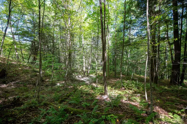 $74,000 | 0 Remington Road, Chester, VT 05143