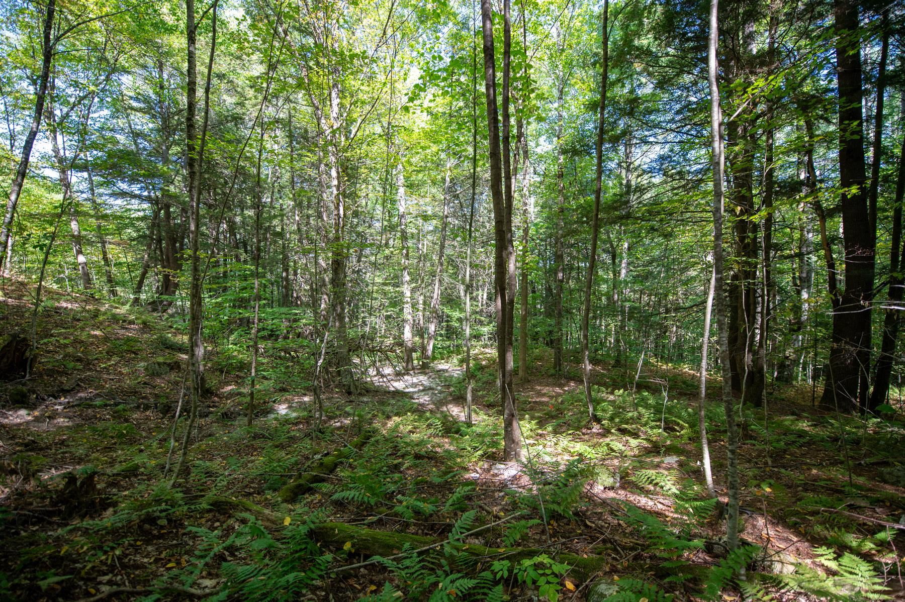 0 Remington Road Chester, VT 05143 - Photo 10 of 14