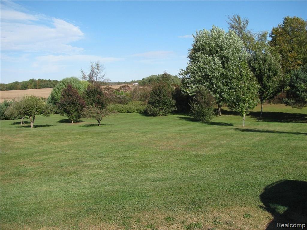 6045 Patrick Road North Branch, MI 48461 - Photo 38 of 44 Country living at its finest!