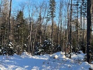 Lot 045 Sawyer Notch Road Andover, ME 04216 - Photo 15 of 36 SNR 2