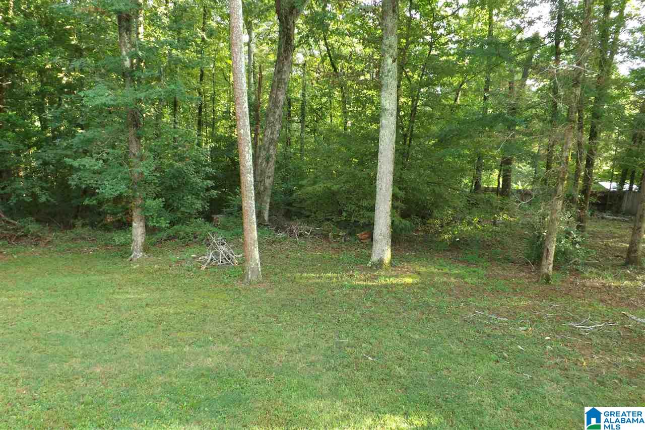 120 Lee Street Springville, AL 35146 - Photo 17 of 23