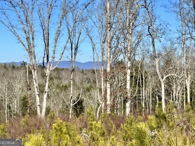 Lot 4 High River Road Ellijay, GA 30540 - Photo 1 of 1 Gallery Image 1