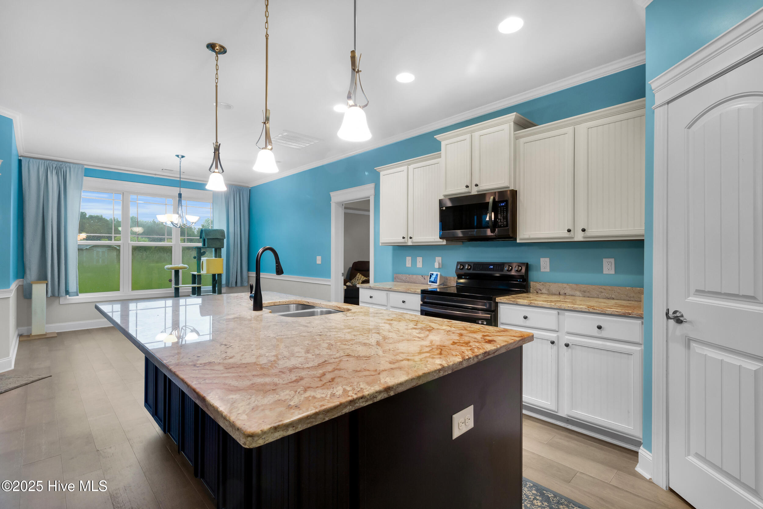 405 Antioch Lakes Road New Bern, NC 28560 - Photo 24 of 59 10_9 (7)