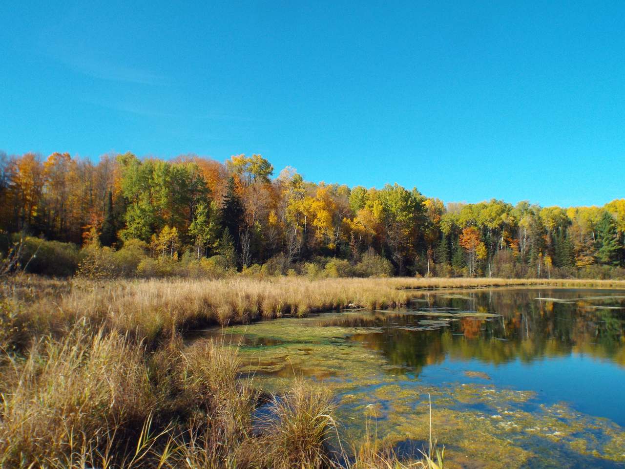 1132 Range Line Road Wabeno, WI 54566 - Photo 24 of 62 Gallery Image 24