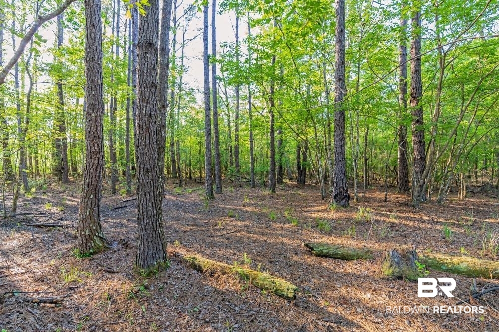 11100 Kali Oka Road Eight Mile, AL 36613 - Photo 14 of 49