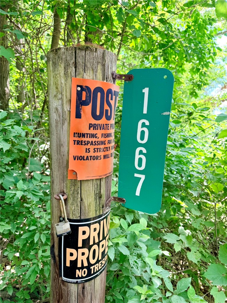 1667 Coon Hollow Road Orange, NY 14812 - Photo 20 of 41 37.34 acres just for you!