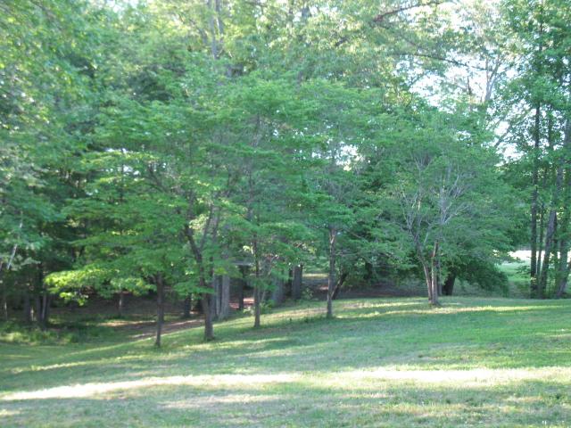 882 Panhandle Road Manchester, TN 37355 - Photo 13 of 16 This view is the back yard and wooded area to the right of the house. Lots of room for the kids to place and they could bring the ball team over for a practice.