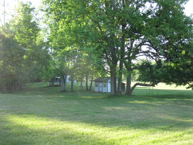 882 Panhandle Road Manchester, TN 37355 - Photo 14 of 16 View of the back yard and the out buildings !!!!