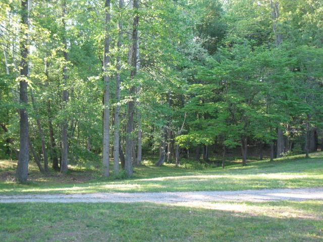 882 Panhandle Road Manchester, TN 37355 - Photo 16 of 16 Wooded lot that is to the right of the house. Great place for the kids to romp and stomp. This will be part of this property.
