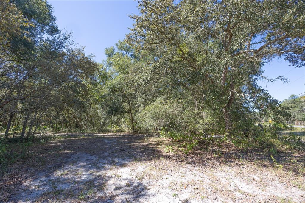 673 Webster Webster, FL 33597 - Photo 62 of 69 Gallery Image 62