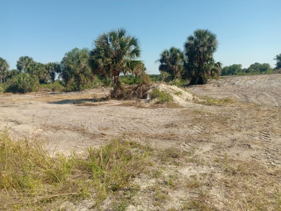 16058 290th Street Okeechobee, FL 34972 - Photo 11 of 16 a view of a yard with trees