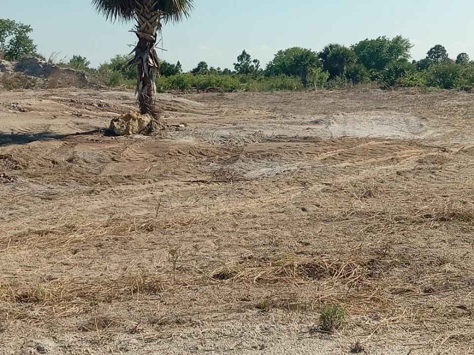 16058 290th Street Okeechobee, FL 34972 - Photo 12 of 16 a view of a dry field with wooden fence