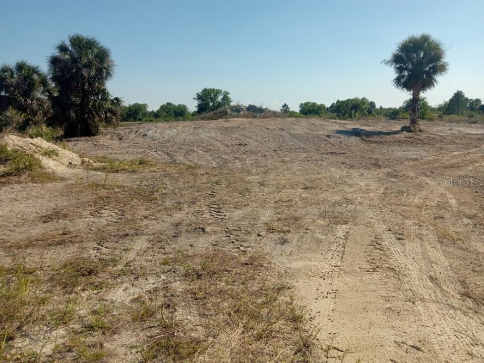 16058 290th Street Okeechobee, FL 34972 - Photo 13 of 16 a view of a dry yard with trees