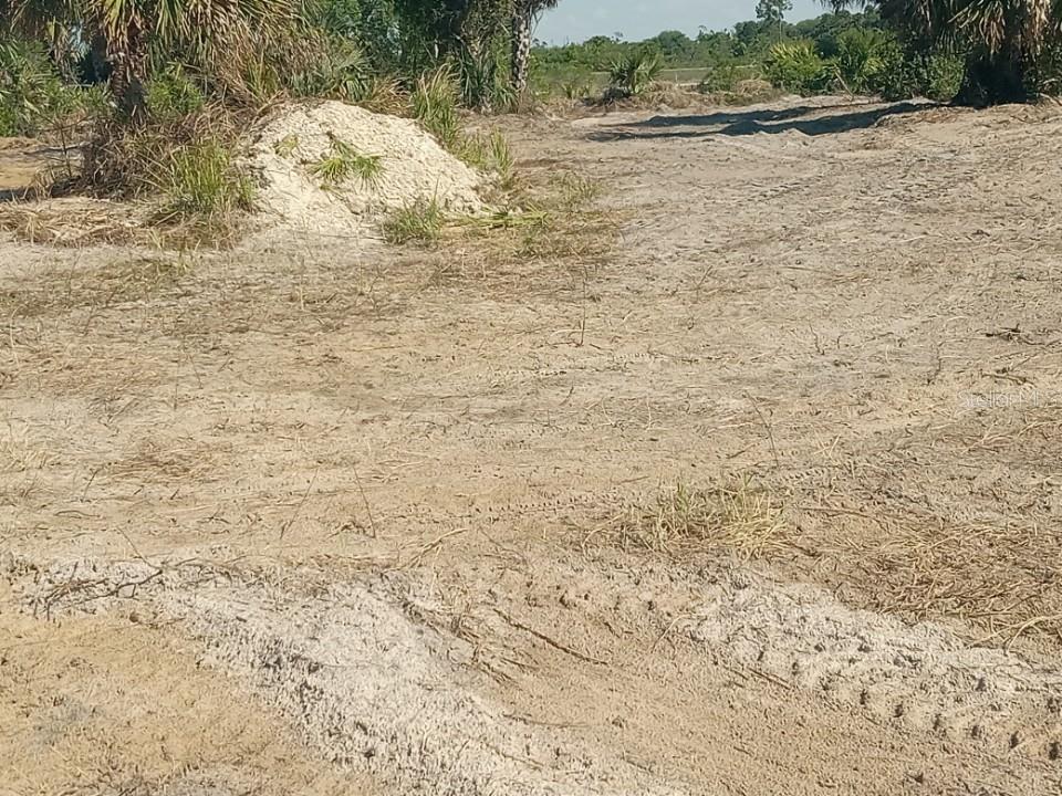 16058 290th Street Okeechobee, FL 34972 - Photo 3 of 16