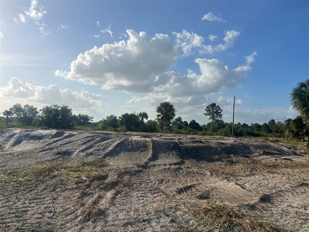 16058 290th Street Okeechobee, FL 34972 - Photo 6 of 16 a view of a dry yard with wooden fence