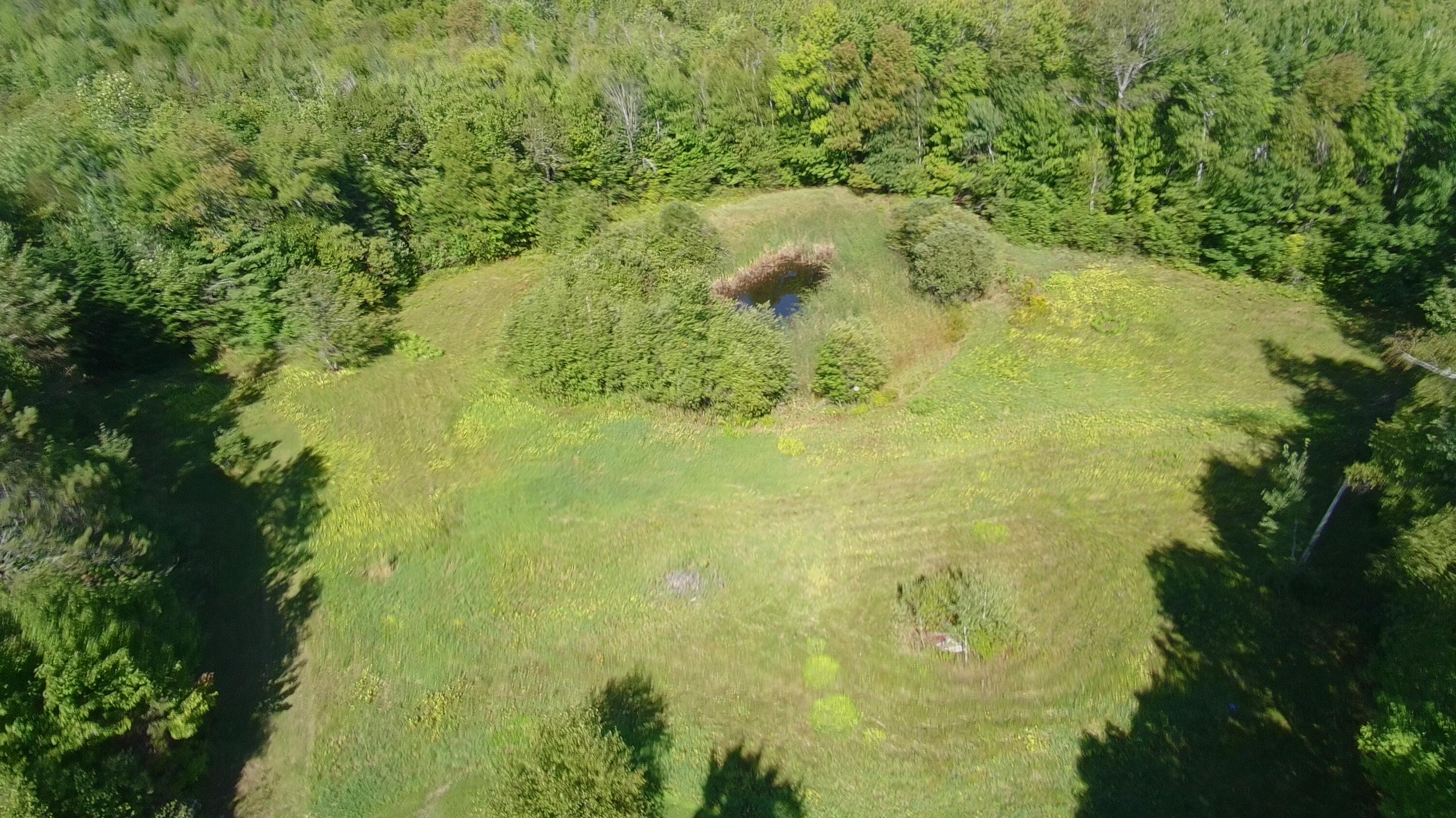 4378737_100DRONE_SING0269