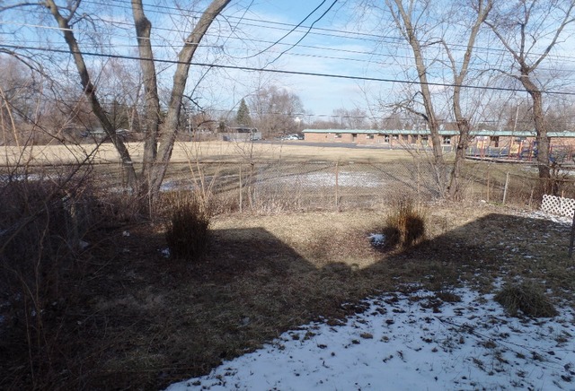 303 Louis Road Joliet, IL 60433 - Photo 14 of 14 a view of a yard