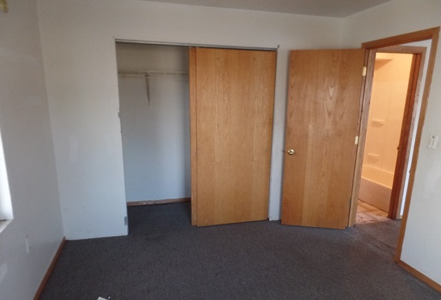 303 Louis Road Joliet, IL 60433 - Photo 9 of 14 an empty room with closet