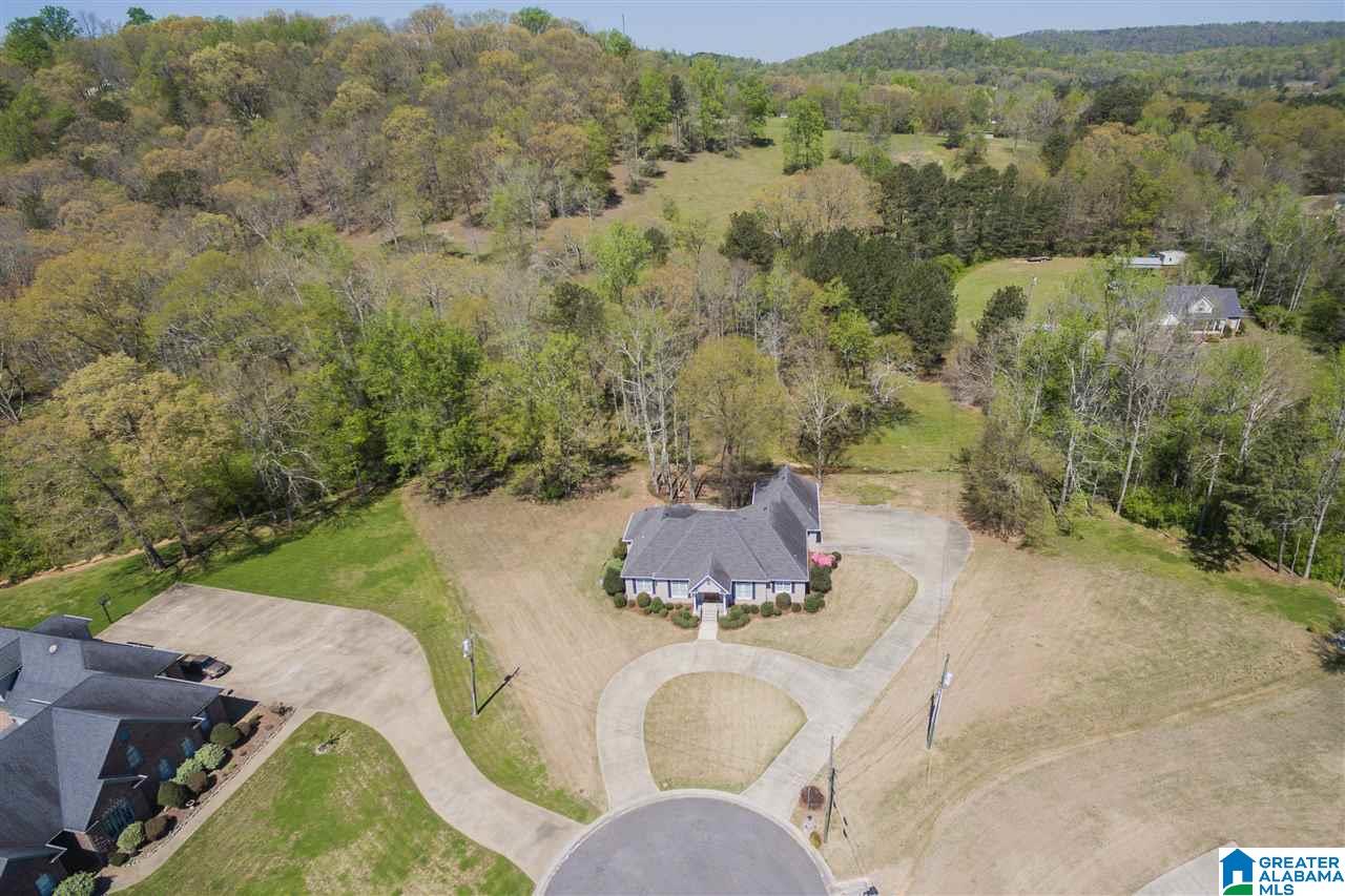 101 Deer Trace Road Oneonta, AL 35121 - Photo 3 of 50