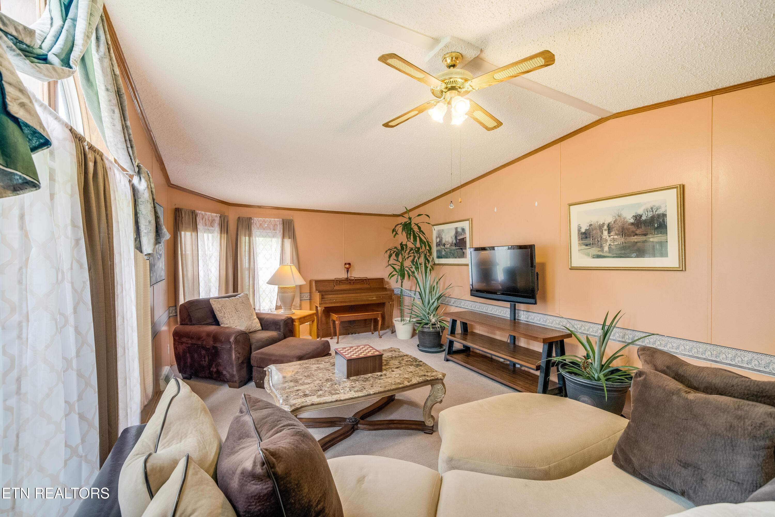 249 Davis Road Strawberry Plains, TN 37871 - Photo 20 of 57 Living Room_13960