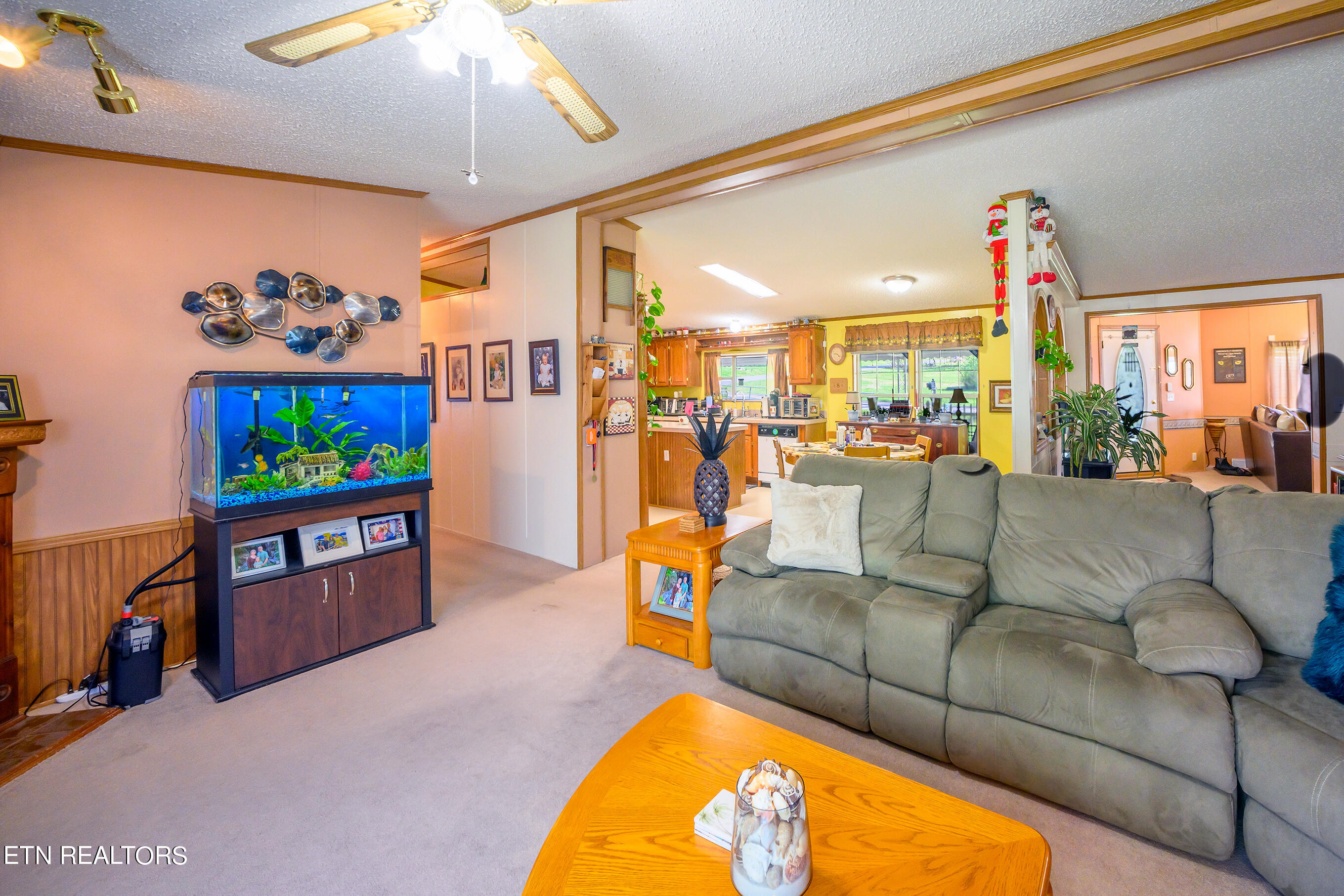 249 Davis Road Strawberry Plains, TN 37871 - Photo 35 of 57 56Family Room_8489