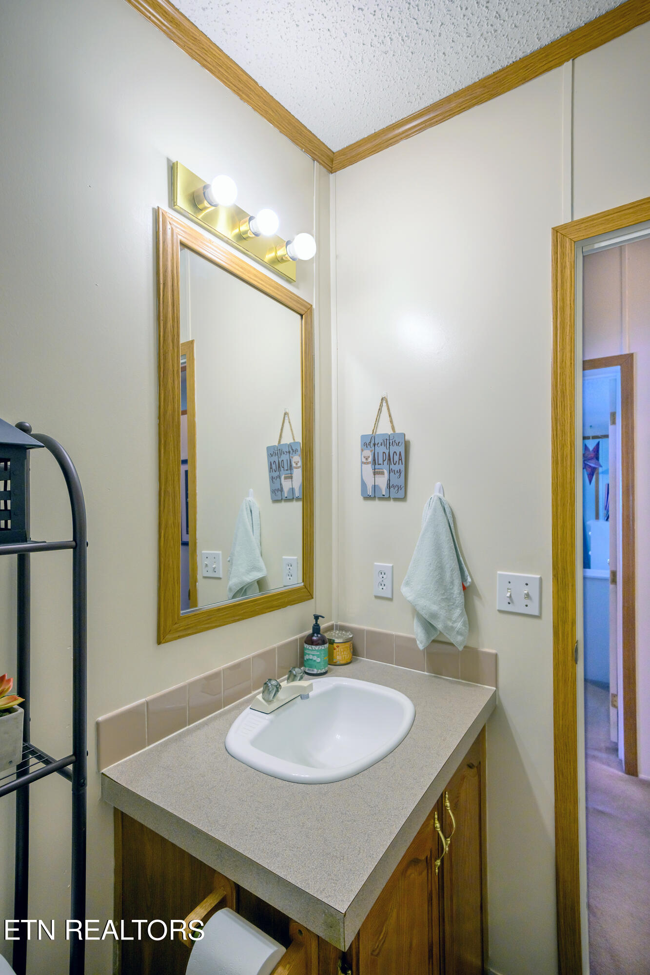249 Davis Road Strawberry Plains, TN 37871 - Photo 43 of 57 65 2nd Bathroom_8539