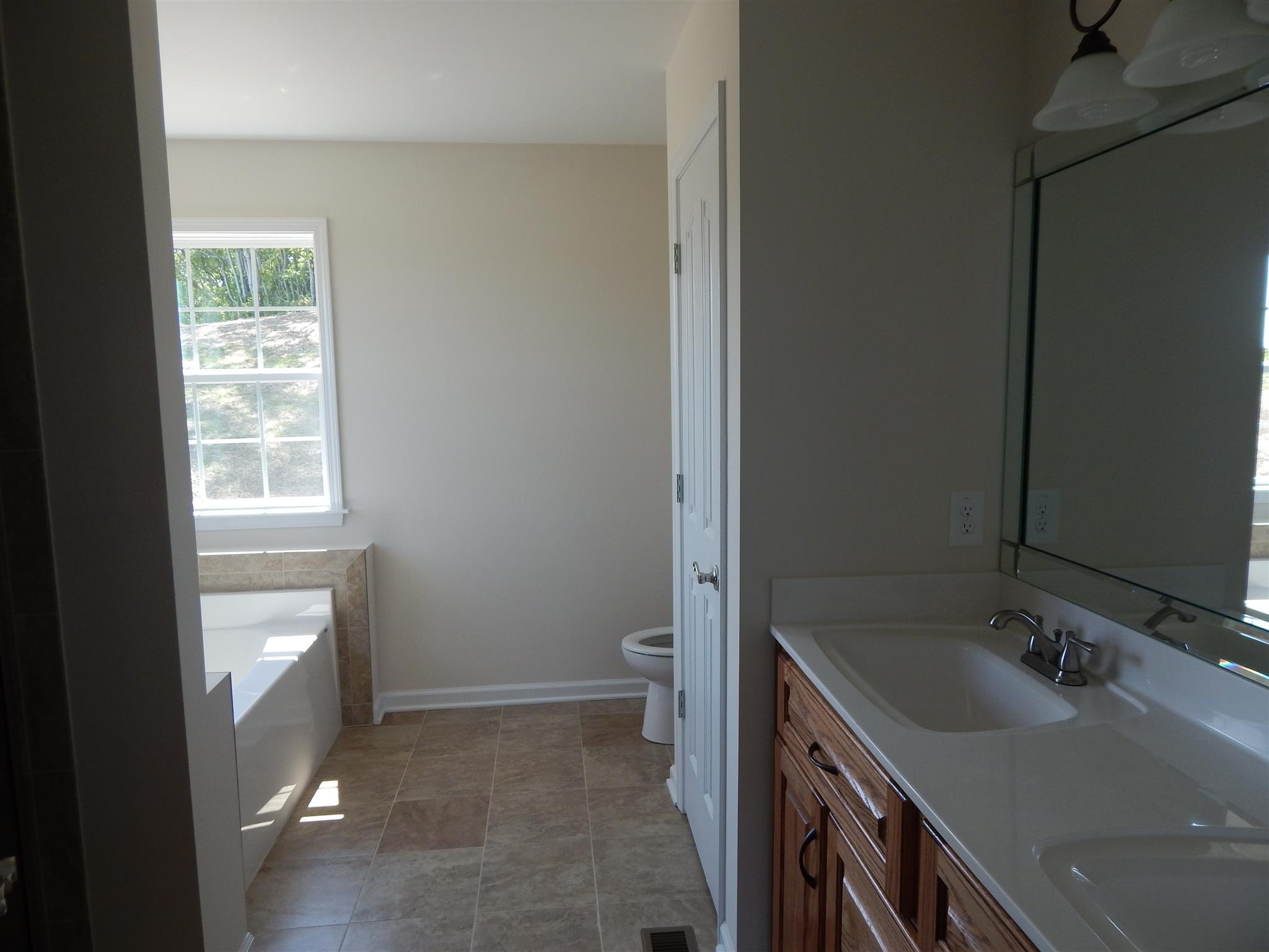 1545 Heller Ridge Spring Hill, TN 37174 - Photo 8 of 19 a bathroom with a sink and a toilet
