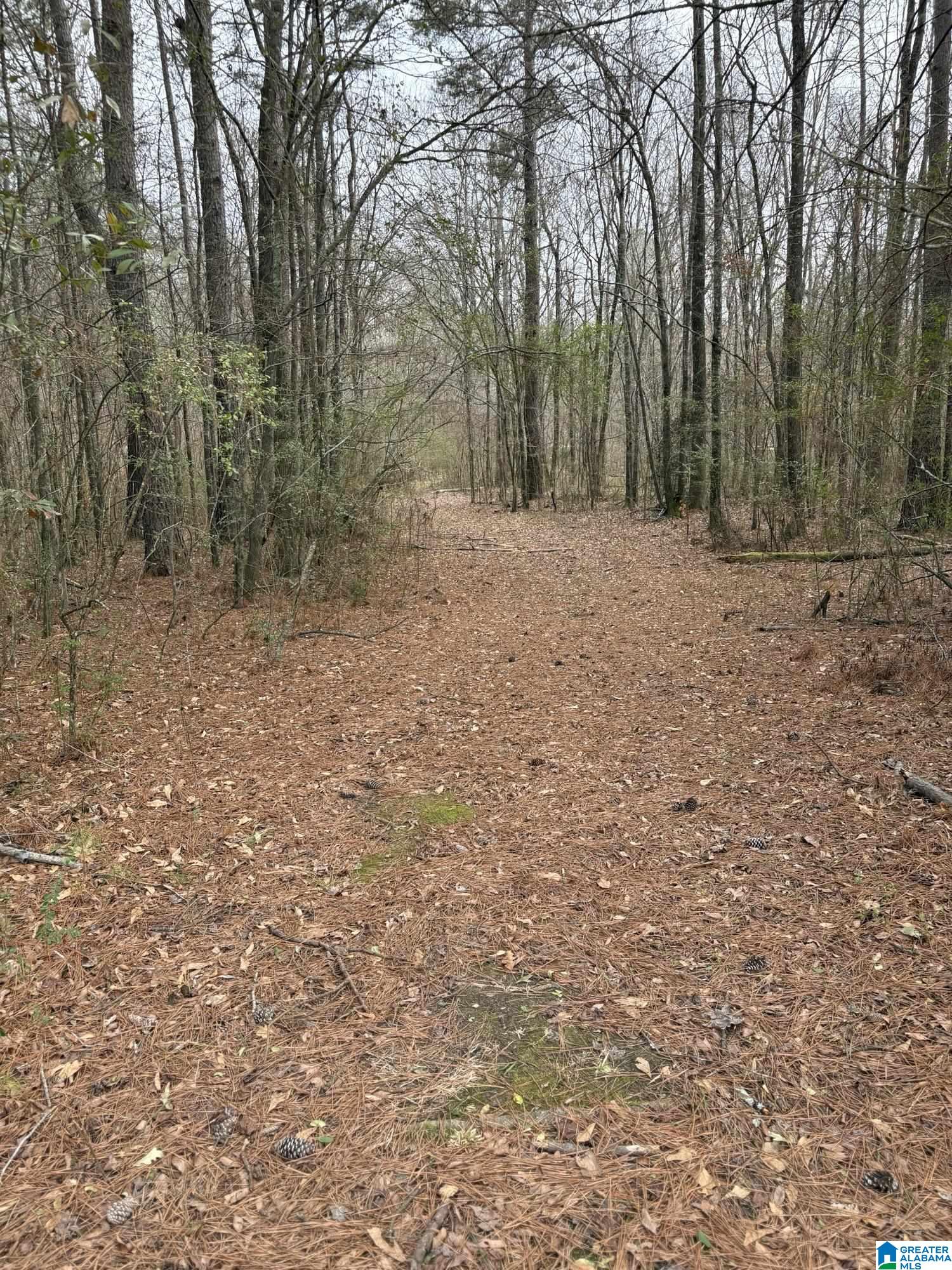 3809 Odens Mill Road Sylacauga, AL 35151 - Photo 27 of 28