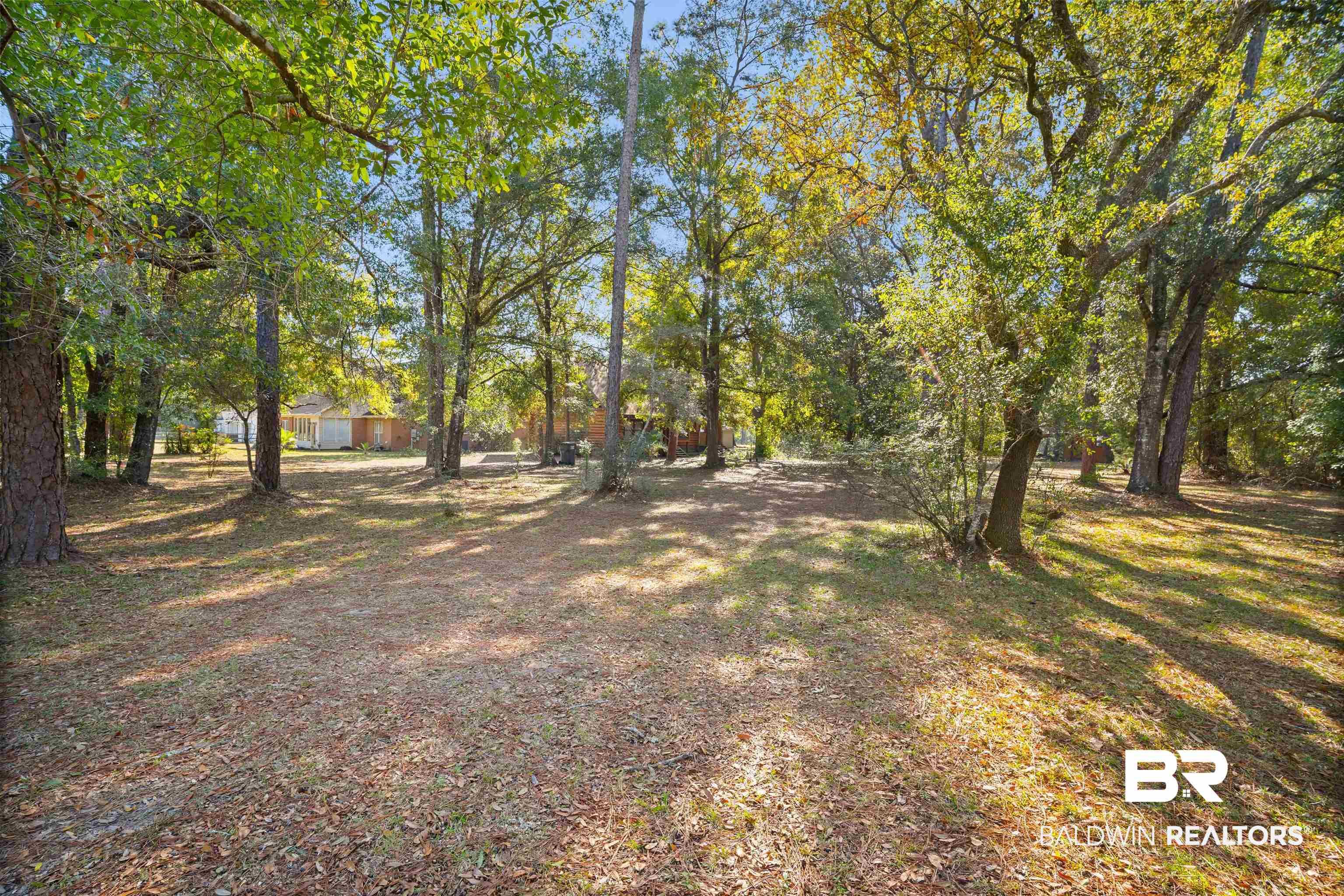 11236 Wren Avenue Fairhope, AL 36532 - Photo 5 of 35 View of yard