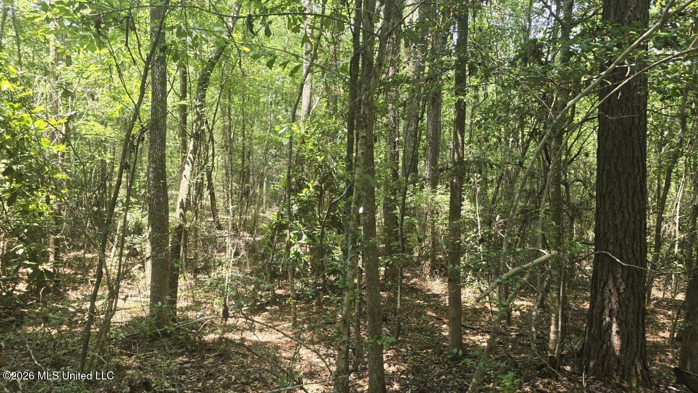 Addison Road State Line, MS 39362 - Photo 18 of 32 20260602_121016