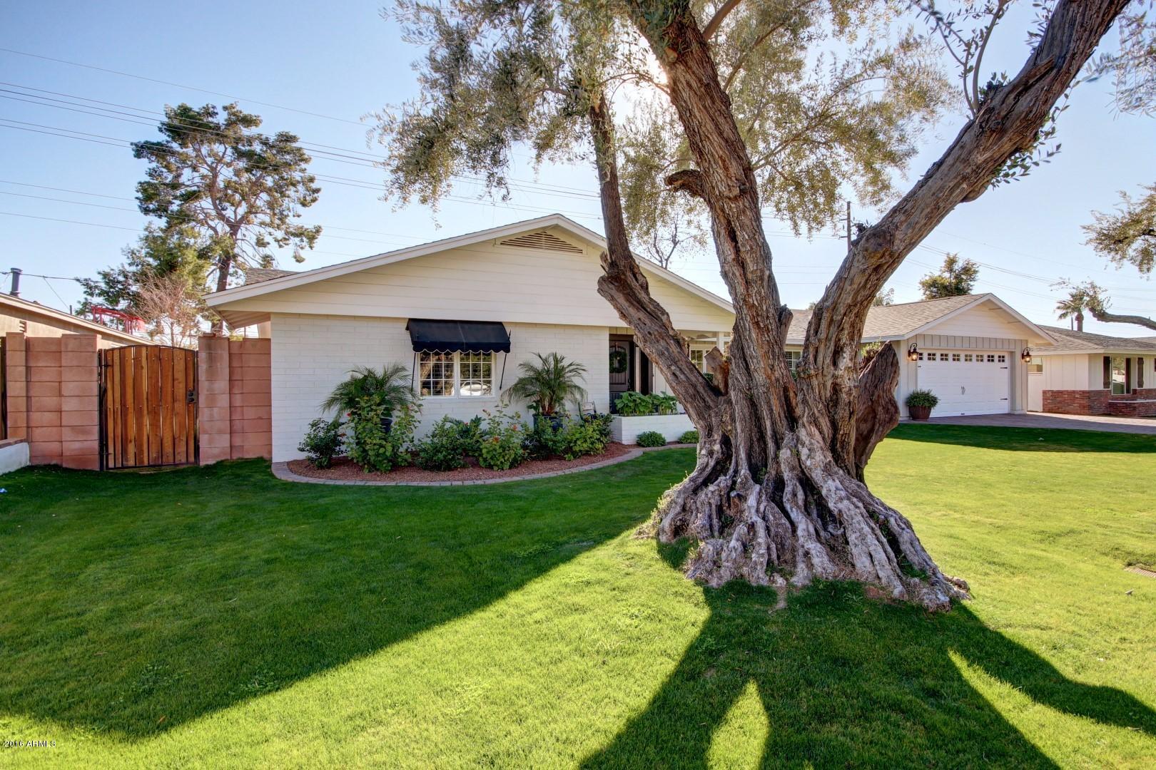4623 East Osborn Road Phoenix, AZ 85018 - Photo 2 of 43 0002-Osborn (51)