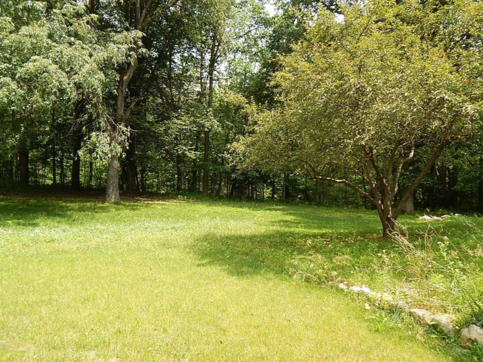 165 11 Mile Road Northwest Sparta, MI 49345 - Photo 18 of 19 Alt Back View