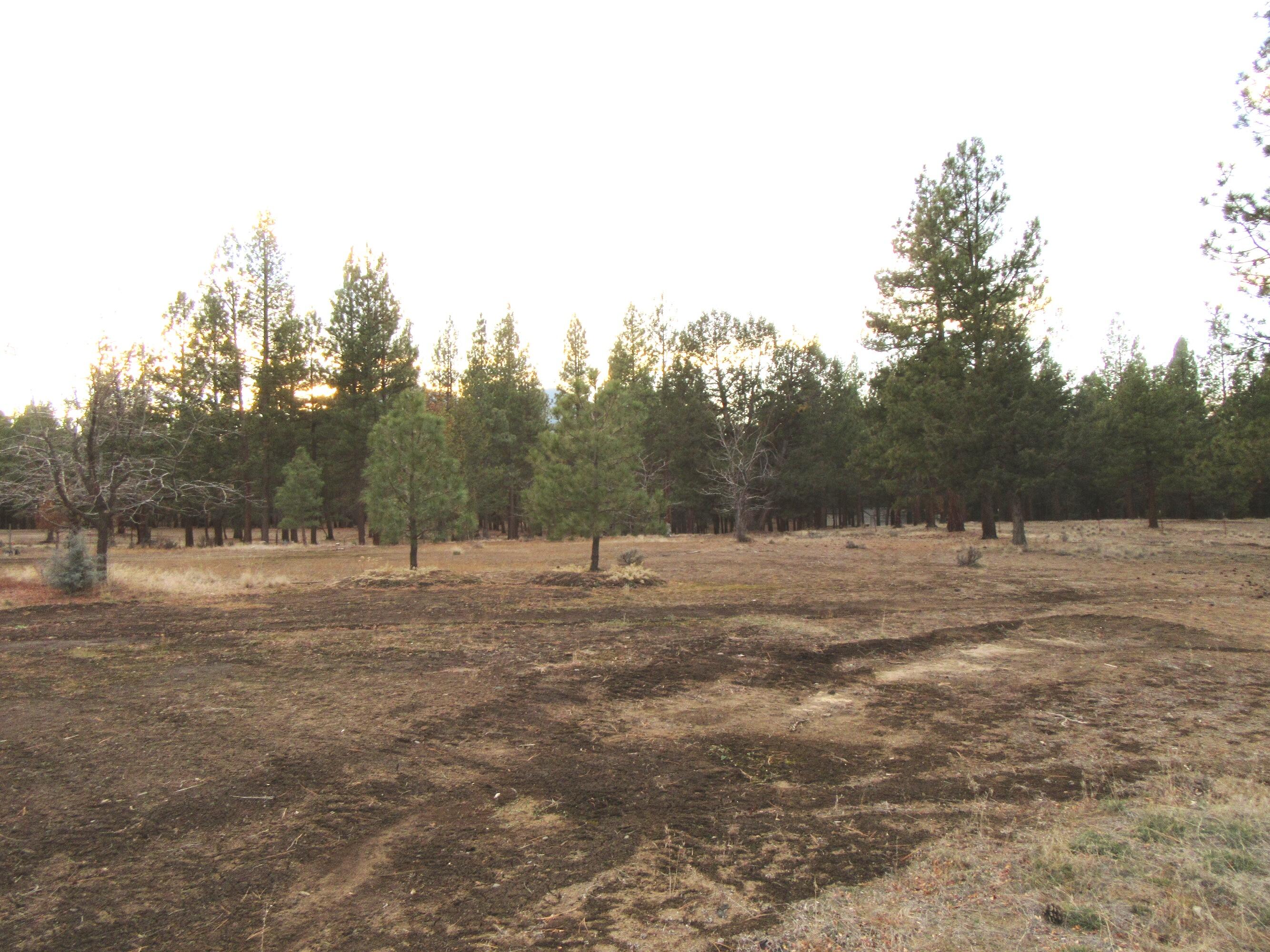 16144 Sprague River Road Chiloquin, OR 97624 - Photo 68 of 81 Land 2